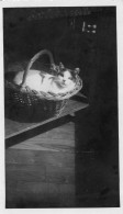 Photo Vintage Paris Snap Shop - Chat Cat Ombre Shadows - Sonstige & Ohne Zuordnung