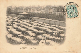 D9189 Autun La Foire - Autun