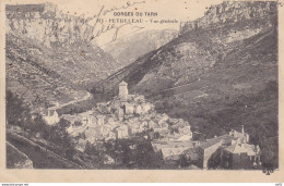 AVEYRON PEYRELEAU VUE GENERALE - Andere & Zonder Classificatie