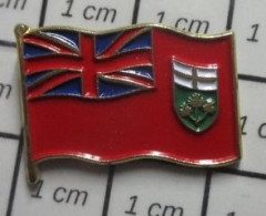 912c Pin's Pins / Beau Et Rare / AUTRES / DRAPEAU PROVINCE CANADA ONTARIO - Autres & Non Classés