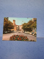 Treviso-via Roma-fg-1976 - Voitures De Tourisme