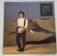 DWEEZIL ZAPPA - My Guitar Wants To Kill Your Mama - LP - 1988 - French Press - Rock