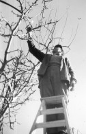 Photo Vintage Paris Snap Shop - Homme Men Echelle Arbre Tree - Berufe