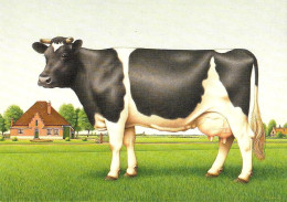 [MD9727] CPM - MUCCA - ERNO TROMP 1984 - PERFETTA - Non Viaggiata - Cows