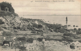 CPA Roscoff-Vue De L'Ile De Batz-498     L2907 - Roscoff