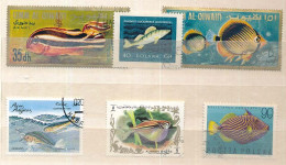 6 Timbres Oblitérés VI-2 POISSONS  Umm Al Qiwain  (2) Pologne (2) Ajman (1) Cuba (1) - Vissen