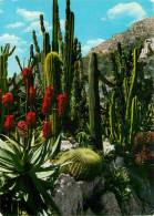 Fleurs - Plantes - Cactus - Principauté De Monaco - Le Jardin Exotique - Candélabre Agave Et Coussin De Belle-mère - CPM - Sukkulenten