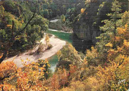 48 - Les Gorges Du Tarn - Dans Les Gorges - CPM - Voir Scans Recto-Verso - Gorges Du Tarn