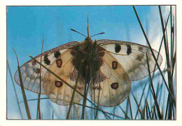 Animaux - Papillons - Flore Des Alpes - Papillon Apollon - CPM - Voir Scans Recto-Verso - Mariposas
