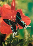 Animaux - Papillons - Fleurs - CPM - Voir Scans Recto-Verso - Butterflies