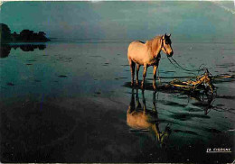 Animaux - Chevaux - Camargue - Cheval Au Bois De Bras Invert - CPM - Voir Scans Recto-Verso - Cavalli