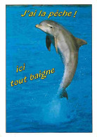 Animaux - Dauphins - CPM - Voir Scans Recto-Verso - Dolfijnen