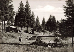 ALLEMAGNE - Kurhotel Und Wintersportplatz - Kniebis Lamn - Besitzer Carl Gaisser - Fernspr - Baiersbronn - Carte Postale - Freudenstadt