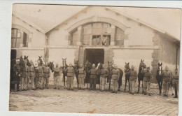 Charentonneau -Ecurie - Carte Photo - Chevaux, Militaire (G.2686) - Autres & Non Classés