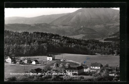 AK Prigglitz /N.-Oe., Auf Der Weise  - Andere & Zonder Classificatie