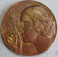 Medaille En Bronze Art Déco, Femme Avec Branche De Chêne , Par Fraisse - Other & Unclassified