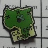 3417 Pin's Pins / Beau Et Rare / MARQUES / ESYS  COMITE D'ETABLISSEMENT EST - Markennamen