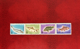 PAKISTAN 1973 4v Neuf MNH ** Mi 351 / 354 Pez Fish Peixe Fisch Pesce Poisson - Fische