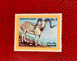 PAKISTAN 1986 1v Neuf MNH ** YT 664 Mamíferos Mammals Säugetiere Mammiferi Mammifère - Andere & Zonder Classificatie