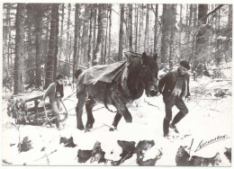 CPSM / CPM 10.5 X 15 Photographe JOËL COUCHOURON Les Vosges Faut Se Faire Aider Par Le Cheval 1979* Traîneau Neige - Otros & Sin Clasificación