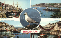 72447049 Brixham Golden Hind Harbour Hafen Moewe Brixham - Autres & Non Classés