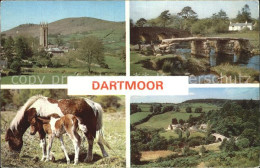 72446628 Dartmoor Pony Bruecke   - Andere & Zonder Classificatie