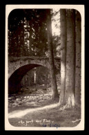 88 - REMIREMONT - LE PONT DES FEES - PHOTOGRAPHIE H. JACQUEL - CARTE PHOTO ORIGINALE - Remiremont