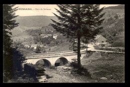 88 - BUSSANG - PONT DU SECHENAT - VOIR ETAT - Bussang