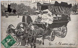 69 LYON -La Voiture Aux Chèvres, Place Bellecour. - Neuville Sur Saone