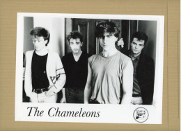 Le Groupe De  Chanteurs  THE  CHAMELEONS - Famous People