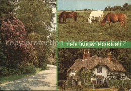 72435024 Lyndhurst The New Forest  - Autres & Non Classés