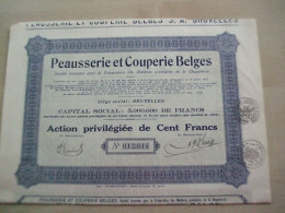 Ancienne Action  1930 PEAUSSERIE ET COUPERIE BELGES - Otros & Sin Clasificación