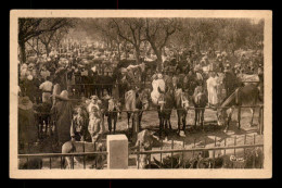 ALGERIE - MAISON CARREE - LE MARCHE AUX CHEVAUX - Andere & Zonder Classificatie