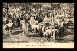 ALGERIE - MAISON CARREE - LE MARCHE AUX BOEUFS - Autres & Non Classés