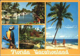 72434235 Florida_US-State Bootsliegeplatz Papagei Brueckchen Strandpartie - Sonstige & Ohne Zuordnung