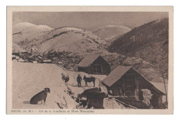 BEUIL  [06] Alpes Maritimes  - Col De La Couillotte Et Mont Brussieres - Ferme - Vaches Et ânes - Animée - Andere & Zonder Classificatie