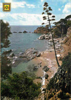 Espagne - Espana - Cataluna - Costa Brava - Comptat De Sant Jordi - Playa - Plage - CPM - Voir Scans Recto-Verso - Gerona