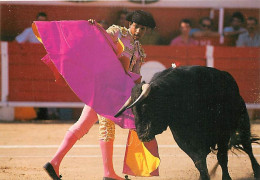 Corrida - Carte Neuve - CPM - Voir Scans Recto-Verso - Corridas