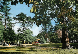 53 - Château-Gontier - Sous Les Verts Ombrages Du Jardin Du Bout Du Monde - CPM - Voir Scans Recto-Verso - Chateau Gontier