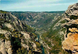 48 - Les Gorges Du Tarn - Le Point Sublime - Carte Neuve - CPM - Voir Scans Recto-Verso - Gorges Du Tarn