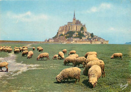 Animaux - Moutons - Le Mont Saint Michel - Les Moutons De Pré-salé - CPM - Voir Scans Recto-Verso - Otros & Sin Clasificación