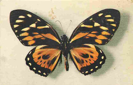 Animaux - Papillons - Papilio Zagreus - Brésil - Collection Boubée - Carte éditée Par Le Comité National De L'enfance -  - Schmetterlinge