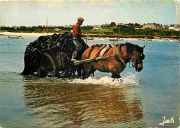 Animaux - Chevaux - Bretagne - Charretée De Goemon - Voir Scans Recto Verso  - Horses