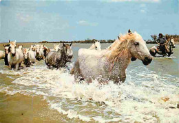 Animaux - Chevaux - Camargue - Manade De Chevaux - Flamme Postale - CPM - Voir Scans Recto-Verso - Horses