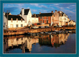 56 - Presqu'Ile De Quiberon - CPM - Voir Scans Recto-Verso - Quiberon