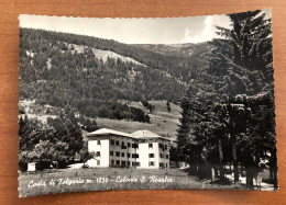 COSTA DI FOLGARIA ( TRENTO ) COLONIA S. ROSALIA 1957 - Trento