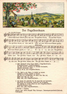 H2187 - Max Schreyer Liedkarte - Der Vugelbeerbaam.... Johanngeorgenstadt Erzgebirgisches Volkslied - Erhard Neubert DDR - Musik