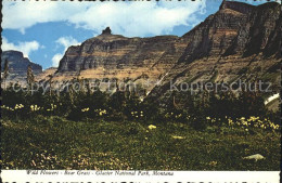 72349663 Montana_US-State Glacier National Park  - Andere & Zonder Classificatie