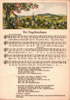 H2190 - Max Schreyer Liedkarte - Der Vugelbeerbaam.... Johanngeorgenstadt Erzgebirgisches Volkslied - Erhard Neubert DDR - Música