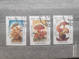 1985	Afghanistan	Mushrooms (F97) - Afghanistan